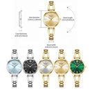 Relógio feminino de luxo em aço inoxidável com especificações técnicas e cinco variações de cores de mostrador